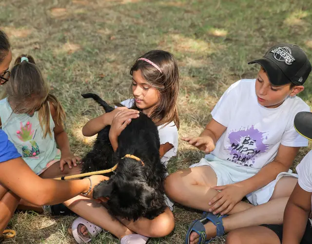 KIKLOS SUMMER CAMP 2024