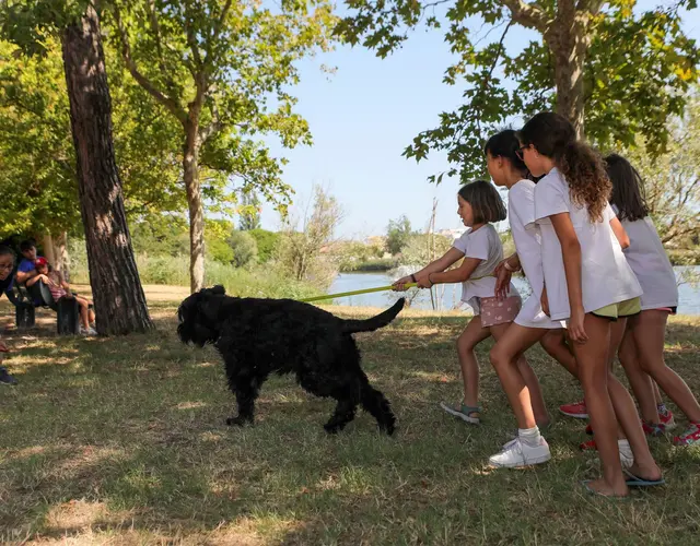 KIKLOS SUMMER CAMP 2024