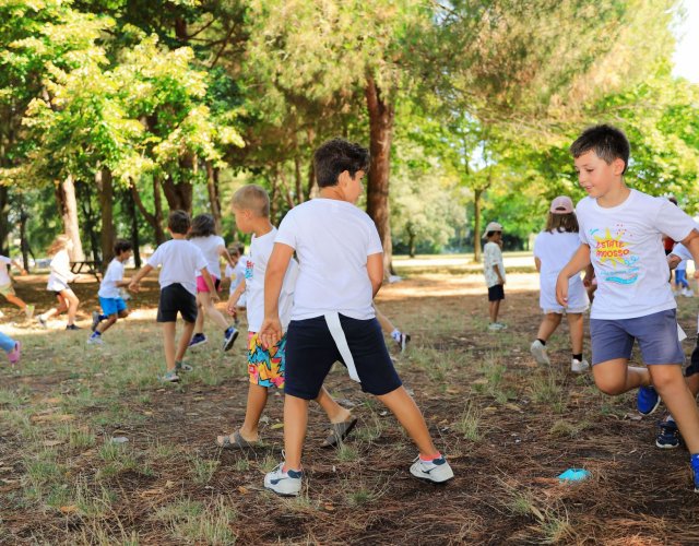 SPORTLAND SUMMER CAMP 2026