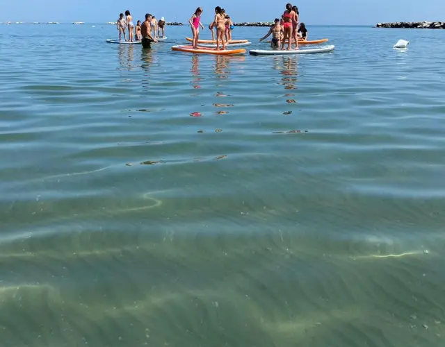 SPONGLISH SUMMER CAMP 2025 SPONGLISH SUMMER CAMP 2025