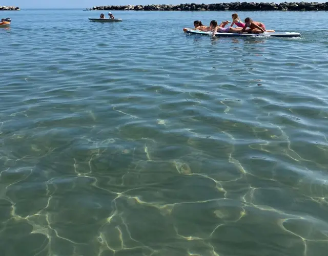 SPONGLISH SUMMER CAMP 2025 SPONGLISH SUMMER CAMP 2025