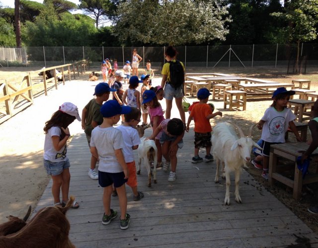 KIKLOS SUMMER CAMP