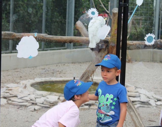 KIKLOS SUMMER CAMP