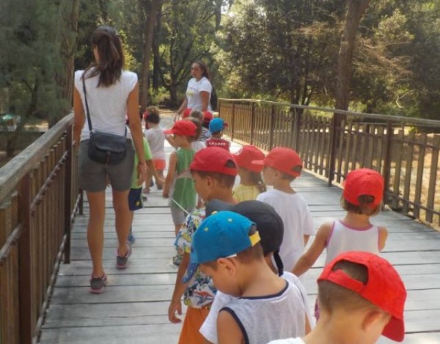 KIKLOS SUMMER CAMP