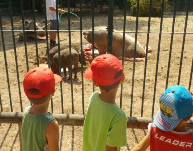 KIKLOS SUMMER CAMP