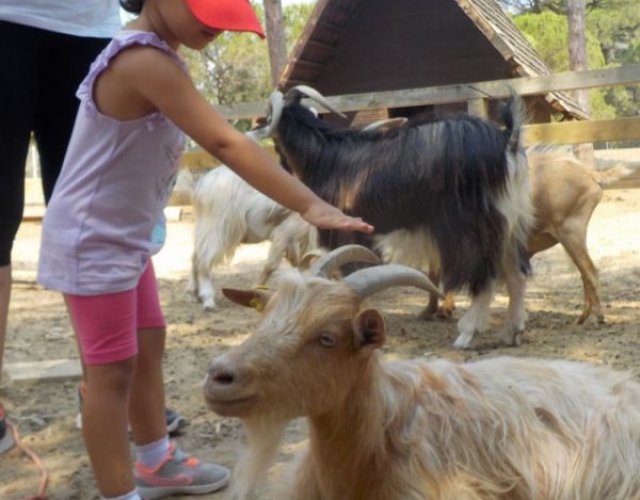 KIKLOS SUMMER CAMP