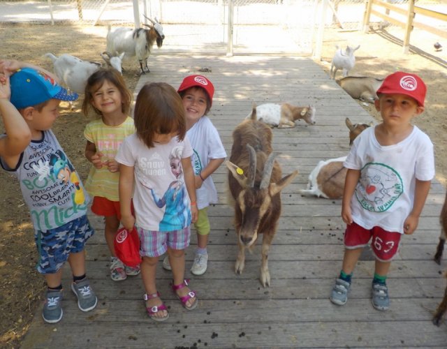 KIKLOS SUMMER CAMP
