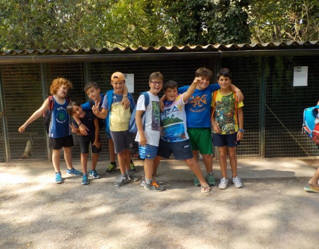 KIKLOS SUMMER CAMP