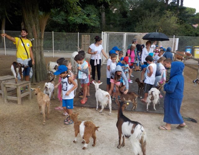 KIKLOS SUMMER CAMP