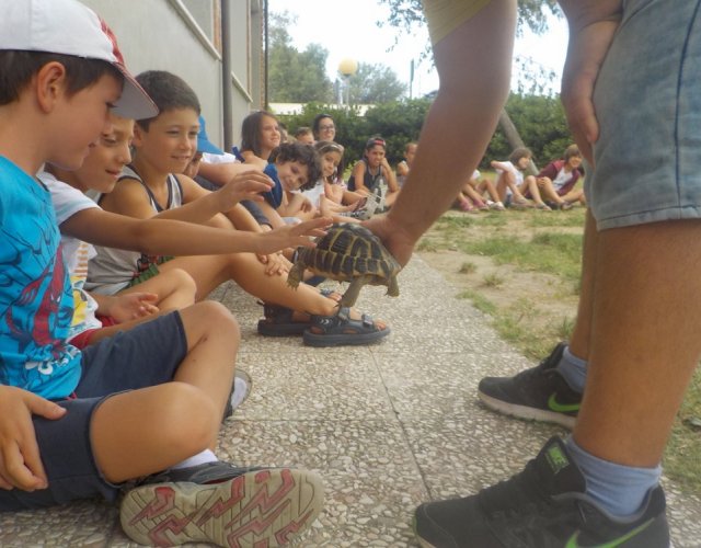 KIKLOS SUMMER CAMP