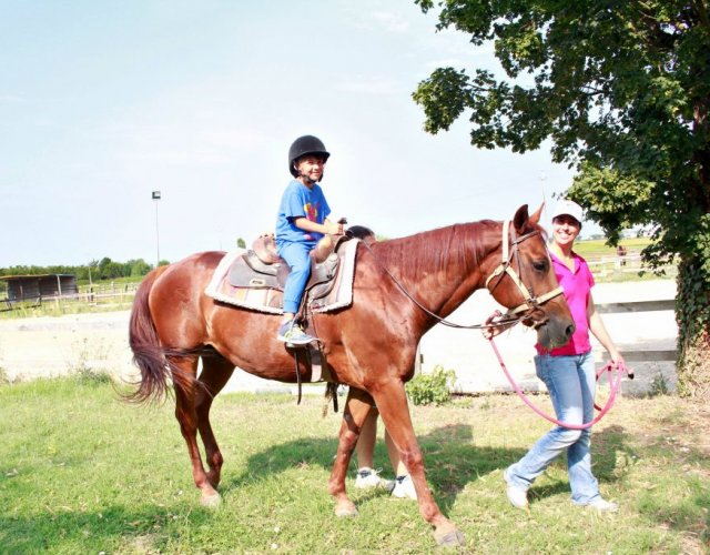 SPORTLAND ESTATE